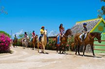 Horseback Ride and Swim Adventure Tour from Ocho Rios