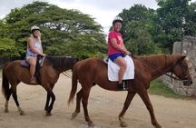 Sand n Saddle Horseback Ride & Swim Tour from Runaway Bay