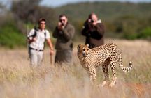 Taste of Namibia Safari - 8 Days