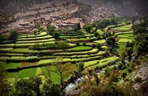 Private excursion to the Ourika Valley from Marrakech