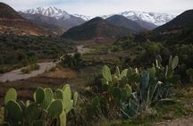 Private excursion to the Ourika Valley from Marrakech