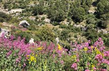 Pantalica Nature Reserve Walking Tour 