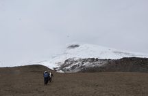 Full-Day Tour Cotopaxi National Park - All included from Quito