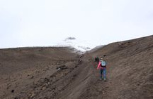 Full-Day Tour Cotopaxi National Park - All included from Quito