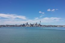 Auckland City Small-Group Morning Discovery Tour