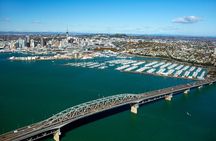Half-Day Auckland City Guided Tour