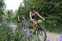 02 -Days: Experience Mekong Delta Countryside By Bike & Boat.