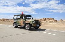 Private Tour to Yadan National Geologic Park