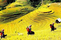 Sapa Trekking Adventures