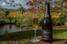 Small-Group Kumeu Wine Country Tour with Wine Tastings & Lunch