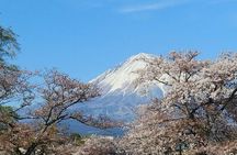 Mt.Fuji Chartered Taxi Tour