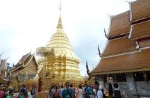 One day Doi Suthep Temple, Longneck hill tribe & Sticky waterfall