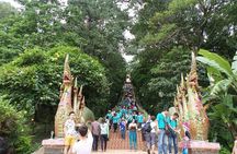 One day Doi Suthep Temple, Longneck hill tribe & Sticky waterfall