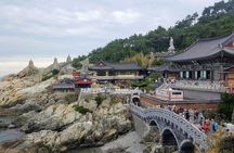 Busan Shore Excursion; Private City Tour