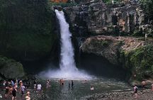 Jungle Swing - Volcano - Water Temple - Monkey Forest and Waterfall Tour