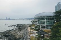 Busan Shore Excursion; Private City Tour