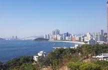 Busan Shore Excursion; Private City Tour
