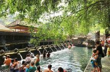 Jungle Swing - Volcano - Water Temple - Monkey Forest and Waterfall Tour