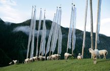 Glimpses of Bhutan - 4 Days Tour