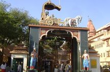 Krishna Janambhoomi & Holy Goverdhan Parikrama from Delhi