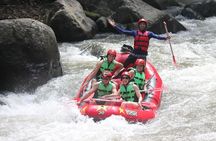 Bali Swing Heaven and White Water Rafting with All Inclusive