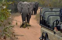 4 Day Greater Kruger Kapama Game Lodge Safari with Panorama Route Journey