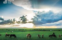 7 days Mongolian Heartland