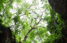 Marble Mountains, Stone Carving Village & Linh Ung Pagoda