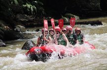 Full-Day Tour: White Water Rafting and Highlight of Ubud with All-inclusive