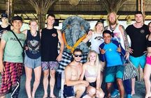 Full-Day Tour: White Water Rafting and Highlight of Ubud with All-inclusive