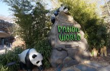 Everland Private Shuttle "Total Private Tour: More Members Less Cost"