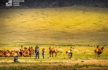  3 days Semi Gobi Desert and Chinggis Khaan Statue