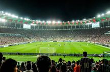 Soccer game in Rio de Janeiro with Local Supporter
