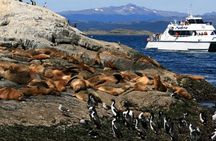 Beagle Channel Navigation - Sea Lions Island