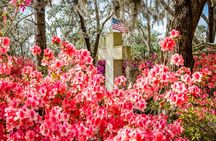Bonaventure Cemetery & Wormsloe State Historic Site Tour