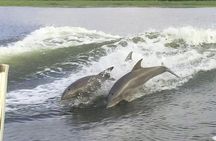 Savannah to Tybee Island with Dolphin Cruise
