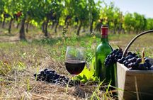 Private wine tour to Khor Virap, Areni winery, Noravank