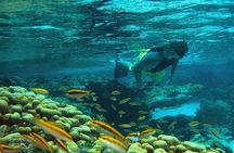 Adventure Antigua - Eli's Original Eco Tour