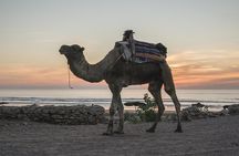 Essaouira Small Peaceful Romantic and Traditional Town