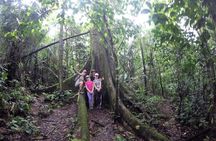 Puyo Jungle1 day.