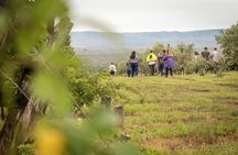 Wine Tour Privado a Calamuchita, Córdoba - Argentina