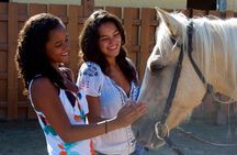 Sand n Saddle Horseback Ride & Swim Tour from Falmouth