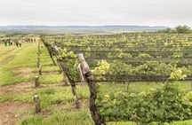 Wine Tour Privado a Calamuchita, Córdoba - Argentina