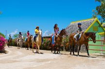 Sand n Saddle Horseback Ride & Swim Tour from Runaway Bay