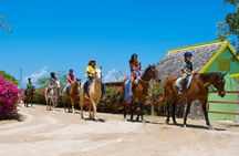 Sand n Saddle Horseback Ride & Swim Tour from Falmouth