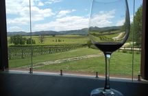 Wine Tour Privado a Calamuchita, Córdoba - Argentina