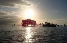 YS Falls, Black River Safari, and Floyd's Pelican Bar Day-Trip (Transportation)