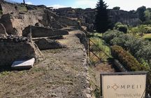 Small group Pompeii guided tour