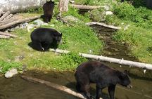Sitka's only Private Simply Amazing Tour