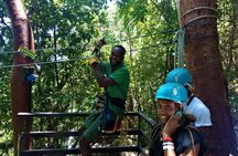 Dunn's River Climb and Zipline Over The Falls from Ocho Rios